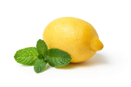 Lemon and mint isolated on white backgroundの写真素材