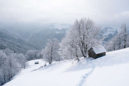 Winter landscape with a footsteps in snow to cabin in a snowy mountain forestの写真素材