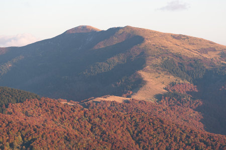 Autumn view of a mountain range with a beech forestの写真素材