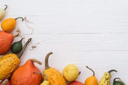 Autumn background with pumpkin border on white wooden backgroundの写真素材