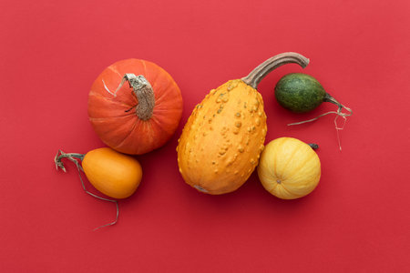 Autumn card with a harvest of winter squash and decorative gourds on a red backgroundの写真素材