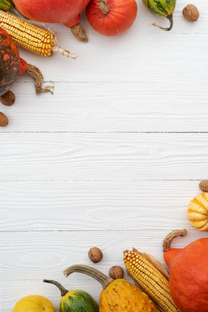 White autumn background with copy space for text and decorative frame from pumpkin harvestの写真素材