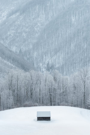 Landscape with a lone cabin on the edge of the forest in winterの写真素材