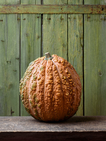 Musquee De Maroc Winter Squash on an Old Wooden Table with Green Background and Copy Spaceの写真素材