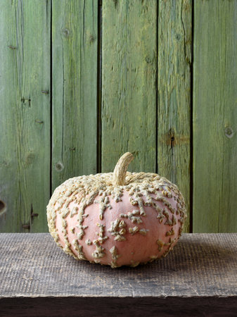 Galeux D'Eysines Squash on an Old Wooden Table with Green Backgroundの写真素材