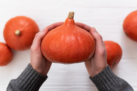 Man Holding a Hokkaido Pumpkin or Kuri Squash Above a White Wooden Table with More Pumpkinsの写真素材