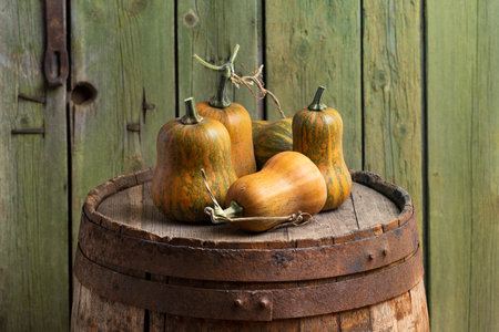 Group of Miniature Butternut Pumpkins on a Vintage Rustic Barrelの写真素材