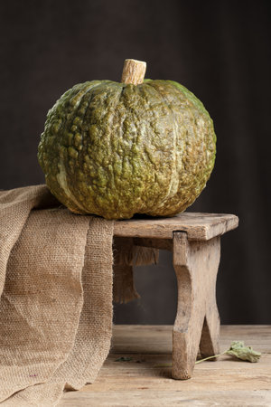 Crespo Squash Pumpkin With Distinctive Warty Skin Displayed On Wooden Stool Beside Burlap In Rustic Barnの写真素材