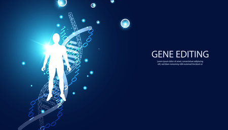abstract science human Biochemical experiments, DNA concepts, in vitro, gene editing, gene transplants or medicines on a blue background.のイラスト素材