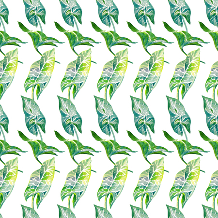 Tropical leaves seamless vertical pattern. Hand drawn watercolo illustration isolated on white background.の写真素材
