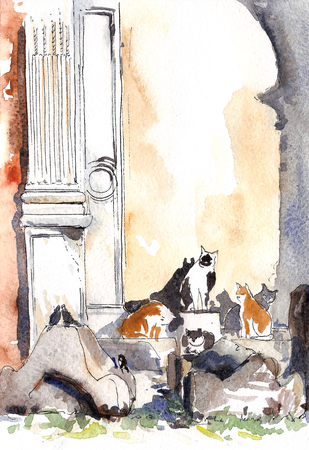 Italian cats in roman ruins ink and watercolor sketchの写真素材