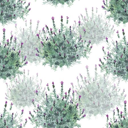 watecolor French lavender bushes delicate seamless pattern on white backgroundの写真素材