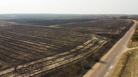 Forest and field fire. Dry grass burns, natural disaster. Aerial view. After the fire, the ground is covered with a black layer of burning and ash. Smoke field after wildfireの写真素材