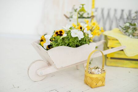 spring photo zone, spring background, easter background in yellow and green colors,の写真素材