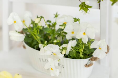 spring photo zone, spring background, easter background in yellow and green colors,の写真素材
