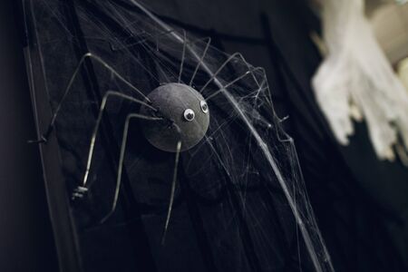 Halloween decor for the celebration. Black spider in the cobweb on black background on Halloween partyの写真素材