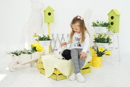 Little girl sitting with black white rabbits on yellow bench look down. Easter decoration with fresh flowers and wooden decorationの写真素材