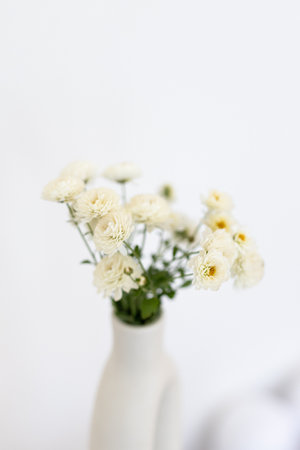 White flowers in vase on white background. Minimal style.の写真素材