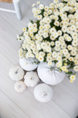 White pumpkins and white chrysanthemums on a white wooden backgroundの写真素材