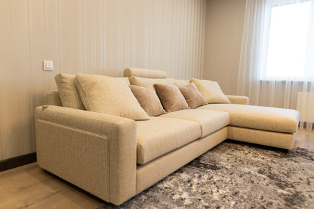 Comfortable sofa in living room at home, interior design concept.の写真素材