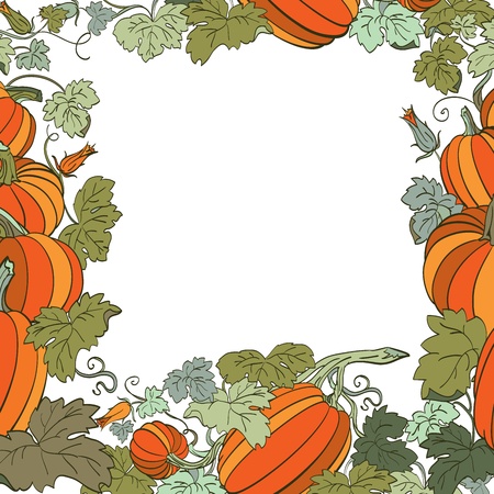 Pumpkin Background のイラスト素材