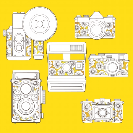 Vintage photo cameras set  with floral pattern のイラスト素材