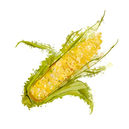 ear of corn isolated on whiteのイラスト素材