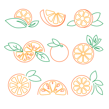 Orange, citrus, logo symbol elements set vectorの写真素材