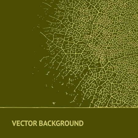 Leaf on vintage background  Vector illustration, contains transparencies のイラスト素材