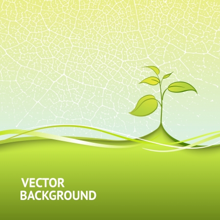 Branch with fresh green leaves  Vector illustration, eps 10, contains transparencies のイラスト素材