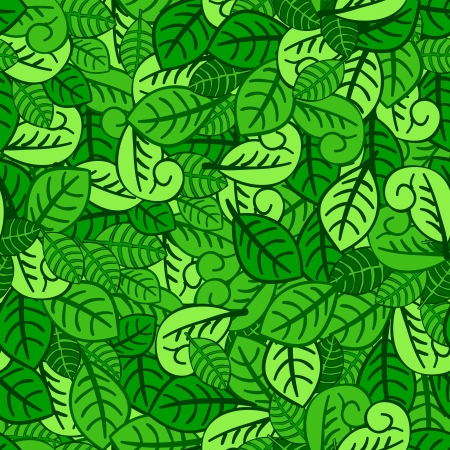 Fresh green leaves on background  Vector illustration, eps10, contains transparencies, gradients and effects のイラスト素材