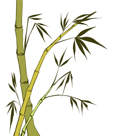 Green Bamboo stems isolated on the white background のイラスト素材