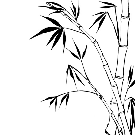 Bamboo のイラスト素材