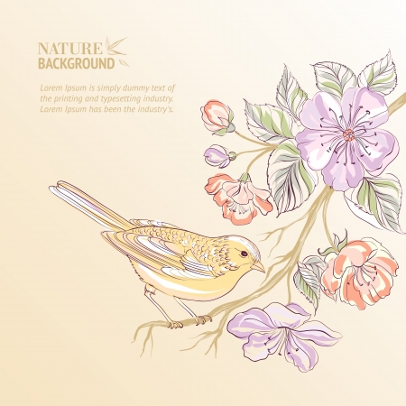 Cute watercolor bird  のイラスト素材