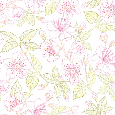 Sacura seamless background  Vector illustration のイラスト素材
