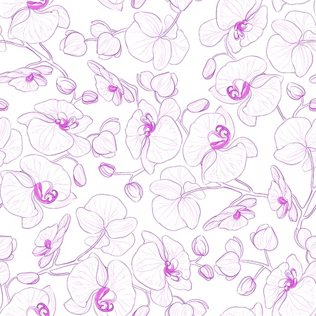 Orchid seamless pattern  Vector illustration のイラスト素材