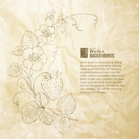 Strawberries brunch isolated on the white illustration のイラスト素材