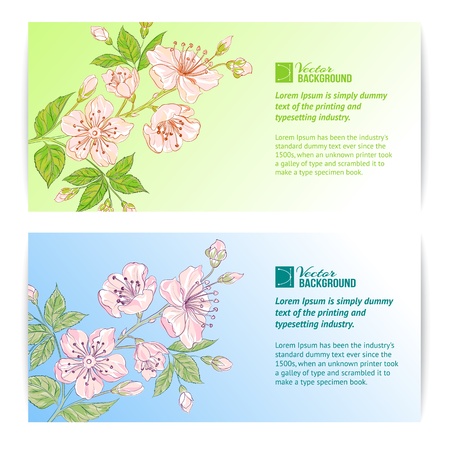 Two sakura banners  Vector illustration のイラスト素材