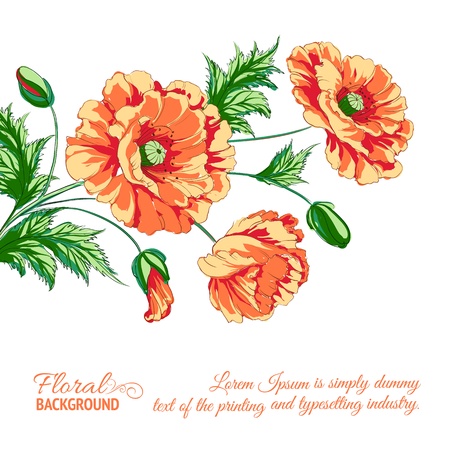 Red poppy card  illustration のイラスト素材