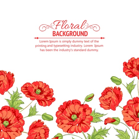 Red poppy isolated on a white background illustration のイラスト素材