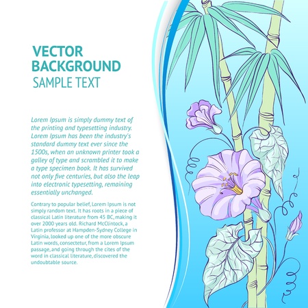 Violet bindweed on a background with empty space illustrationのイラスト素材