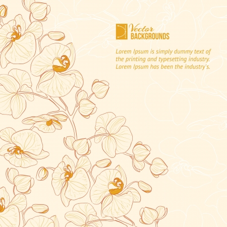 Orchid flower labelのイラスト素材