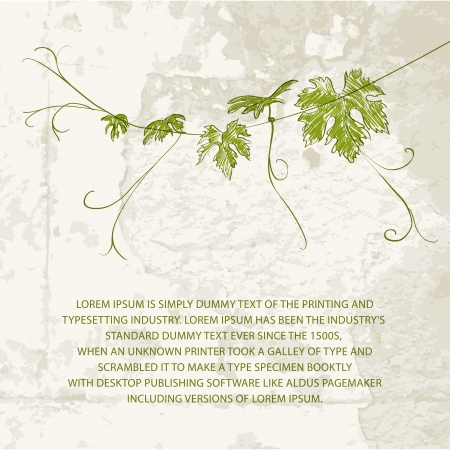 Branch of vine climbing against concrete wall illustration のイラスト素材