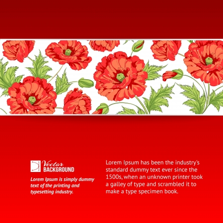 Background with beautiful red poppies  Vector illustration のイラスト素材