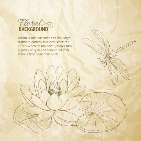 Water Lily and dragonfly old paper illustration のイラスト素材