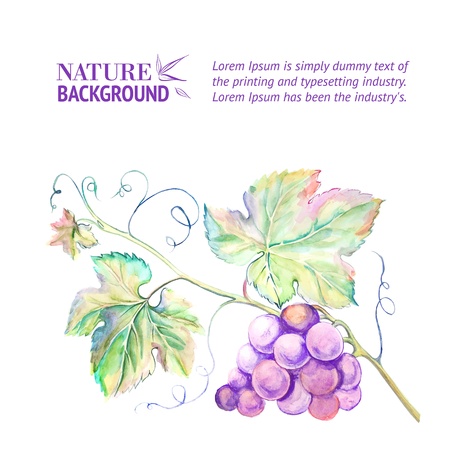 Painted watercolor card with grape leaves illustration のイラスト素材