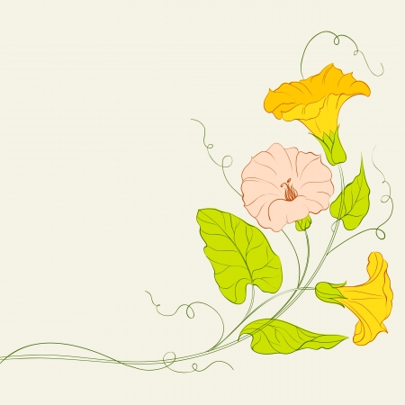 Bindweed frame for your text  Vector illustration の写真素材