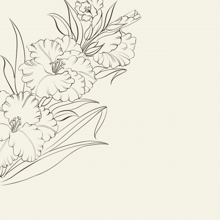 Beautiful fresh iris flowers. Vector illustration.のイラスト素材