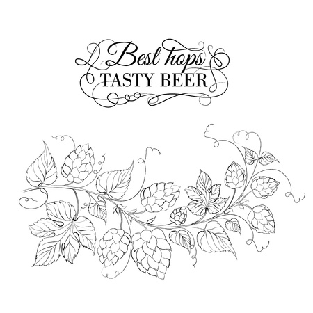 Decorative hops garland. Vector illustration.のイラスト素材