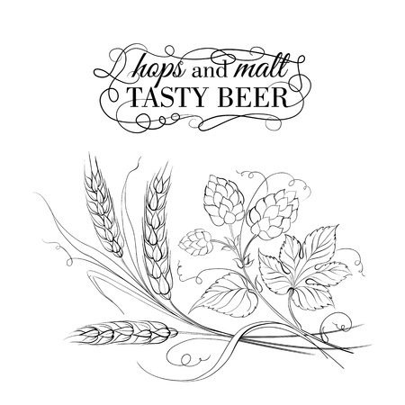 Golden wheat and hop on sepia. Vector illustration.のイラスト素材